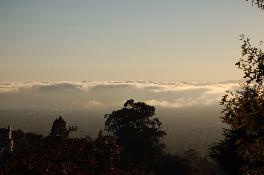 A Summer Across the Bay From San&nbsp;Francisco