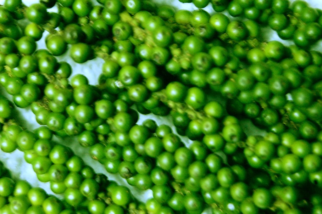 Adventurous Foodie: Sugar and Spice in&nbsp;Paris