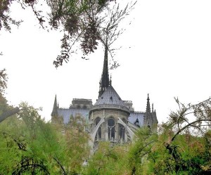 Flying buttresses Notre Dame de Paris